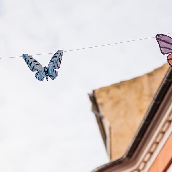 Hvorfor er der sommerfugle på husene i Rudkøbing på Langeland