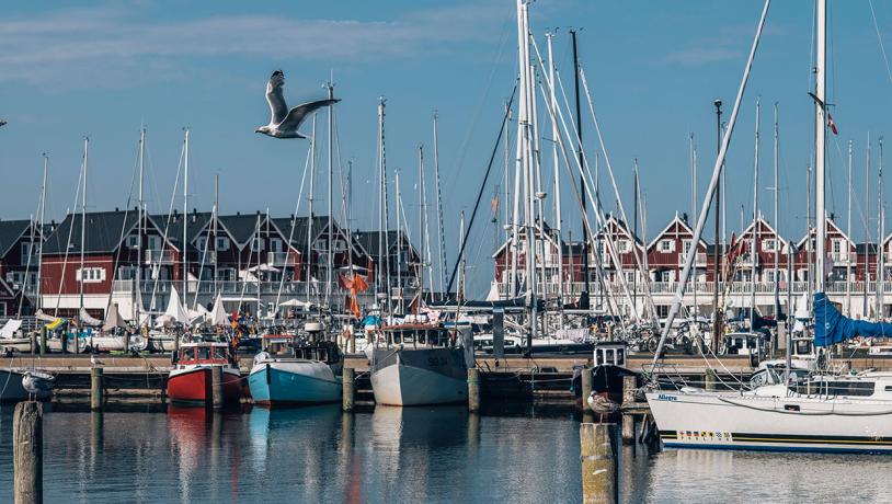 Både i havnen i Bagenkop på Langeland