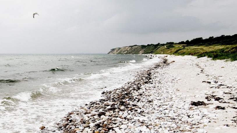 Den 30 meter høje klint rejser sig fra stranden