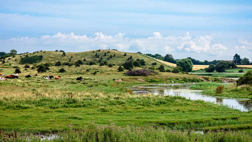 Vand, bakker og vild natur på Langeland