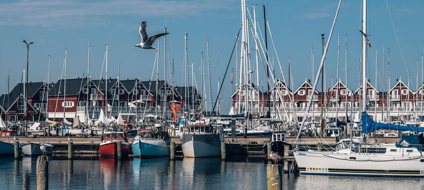 Både i havnen i Bagenkop på Langeland