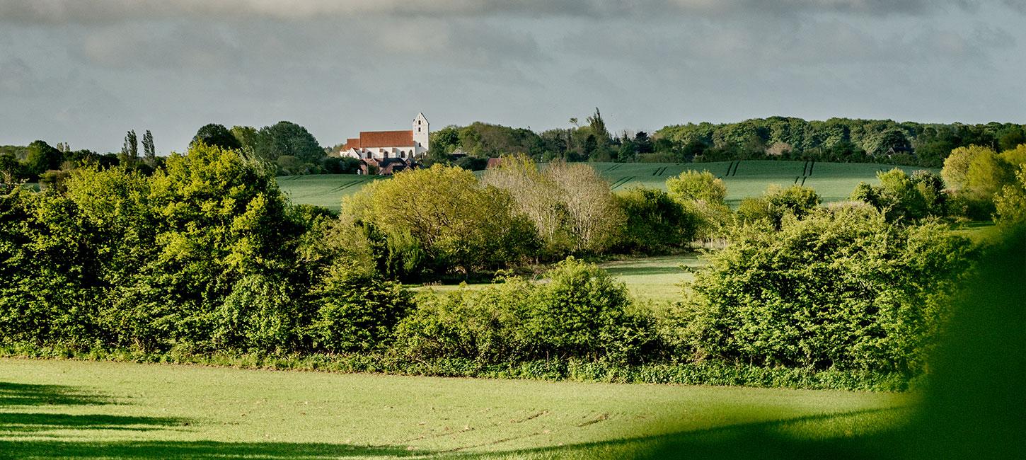 Marker og træer foran Lidelse Kirke