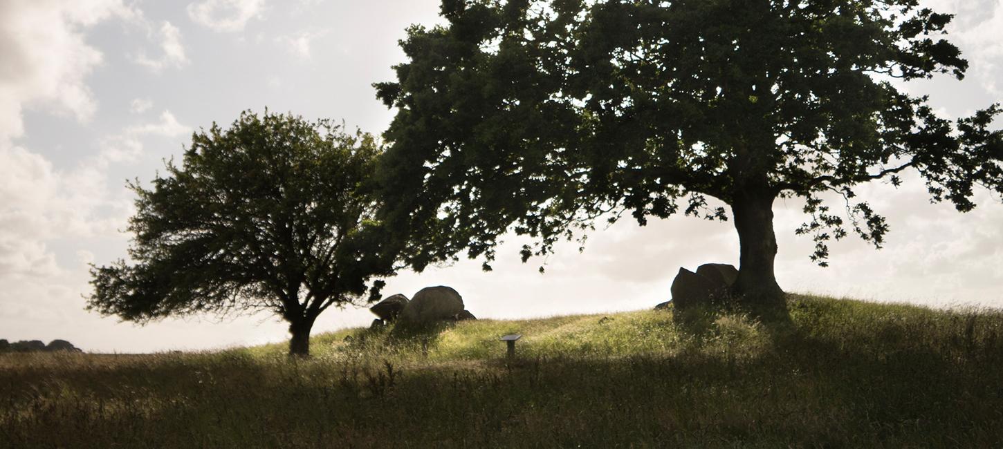 Fortidsminde Ravnebjerg