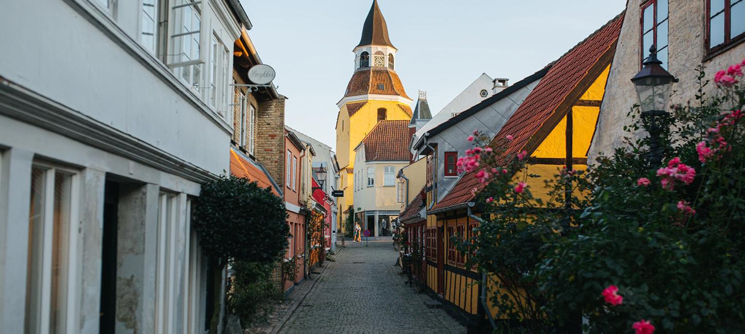 A cobblestone street with colourful houses, wildflowers and roses in Faaborg