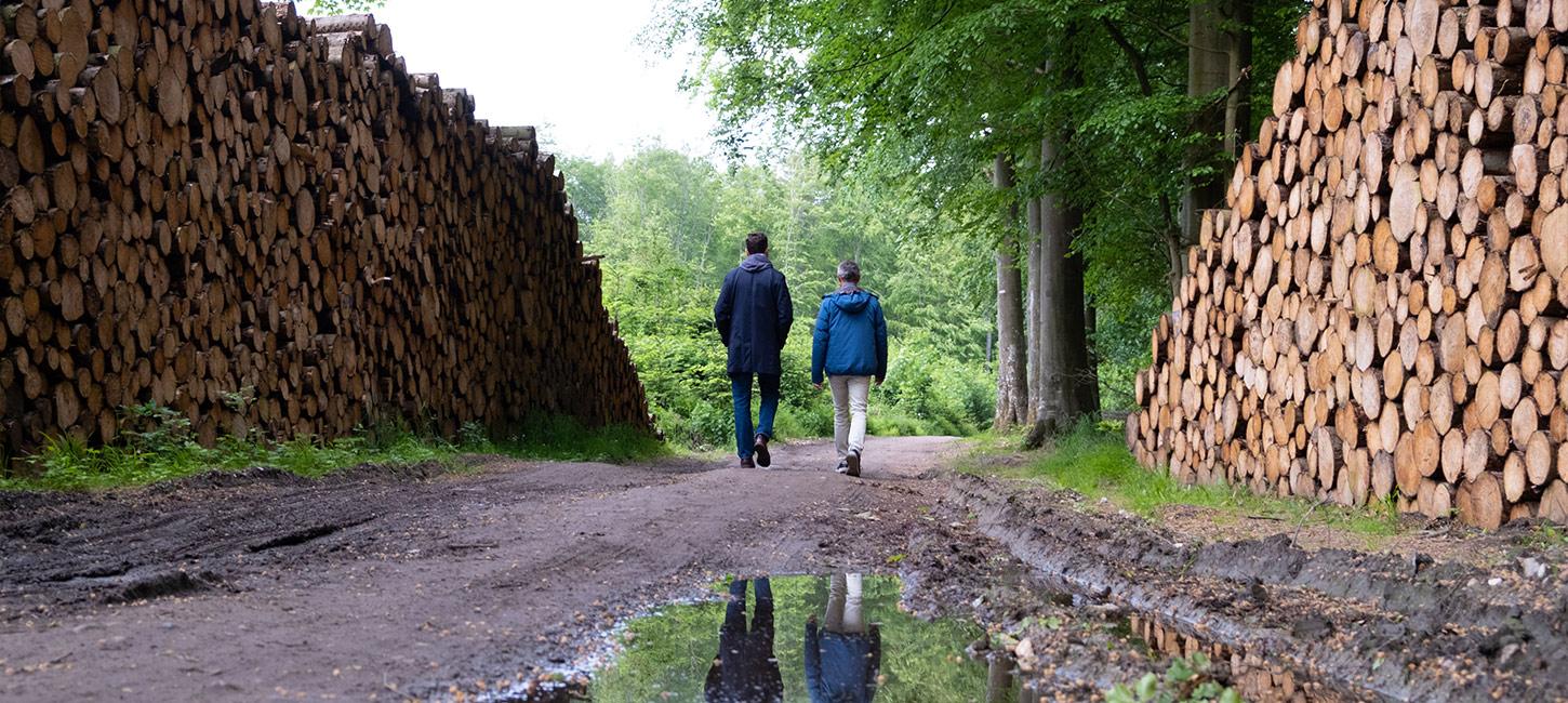 Par på vandretur gennem Stengade Skov