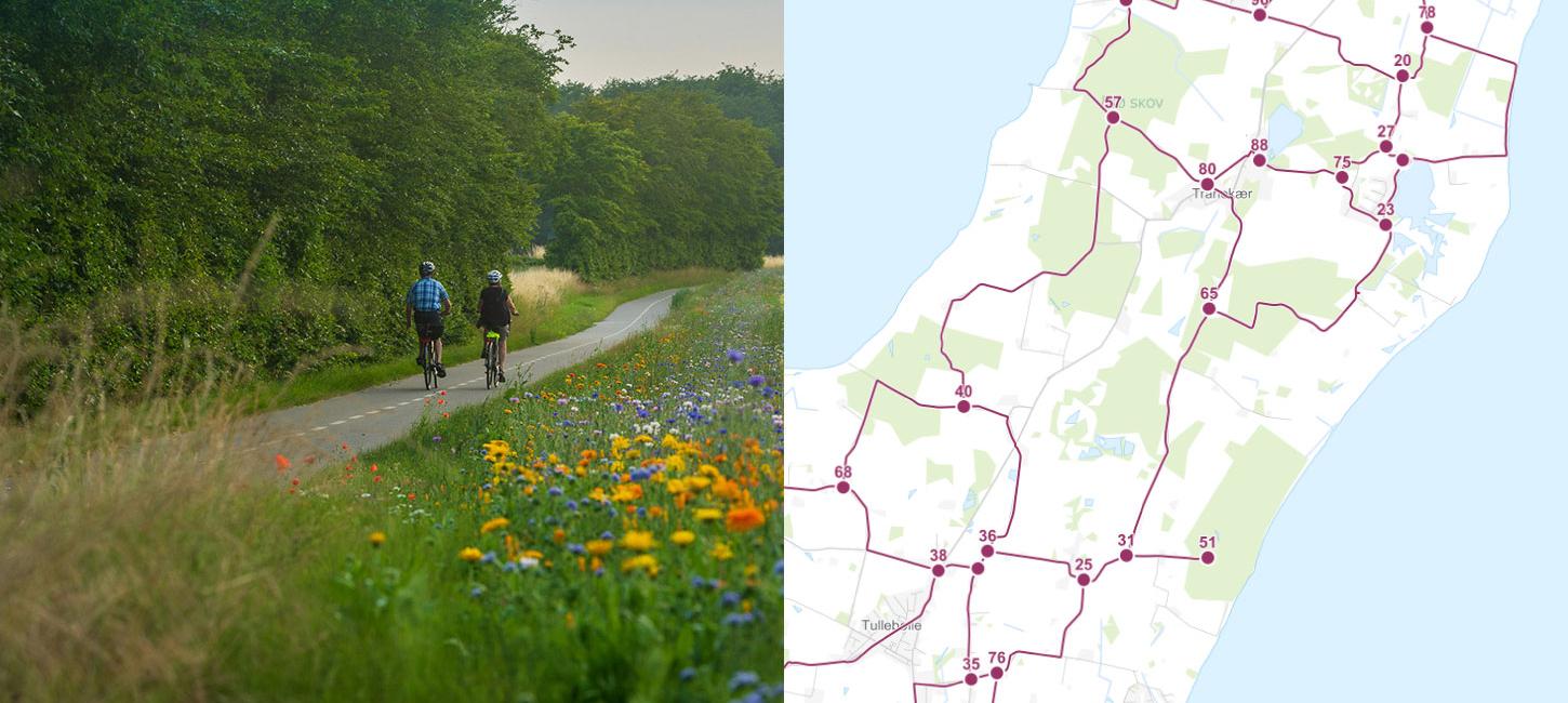 Cykelnet på Langeland
