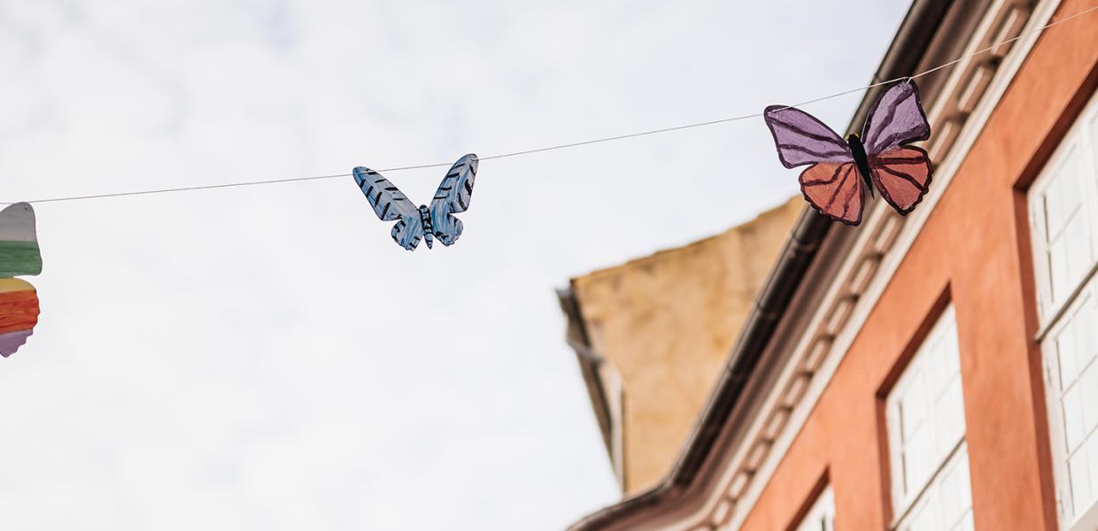 Hvorfor er der sommerfugle på husene i Rudkøbing på Langeland
