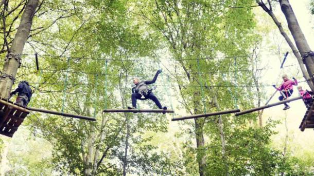 billede af Gorillapark Svendborg 