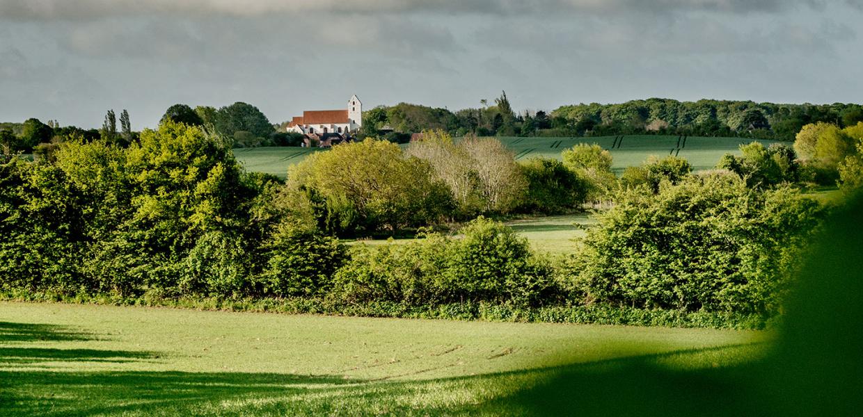 Marker og træer foran Lidelse Kirke