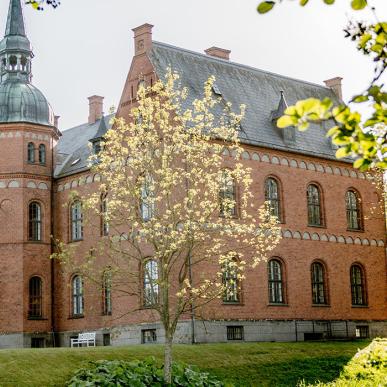 Skovsgaard Gods på Sydlangeland