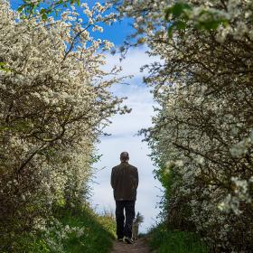 Ristinge Klint - tjørnen er sprunget ud 