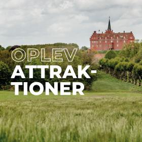 Oplev Langelands attraktioner
