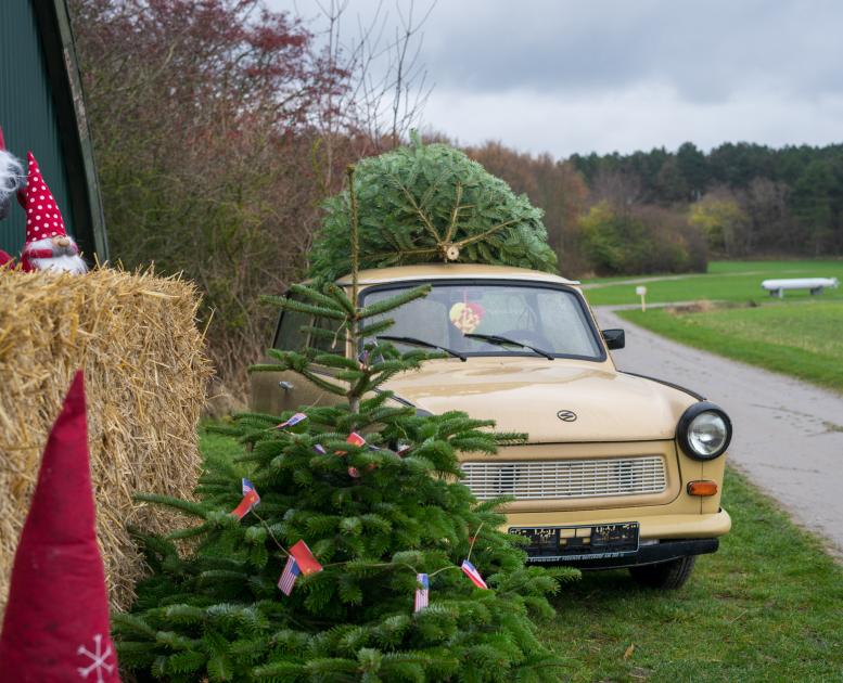 Oplevelsesrigt julemarked for hele familien - juleudflugt for børn - Langeland 